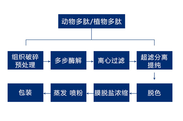 酶解多肽·分離提取技術(shù)